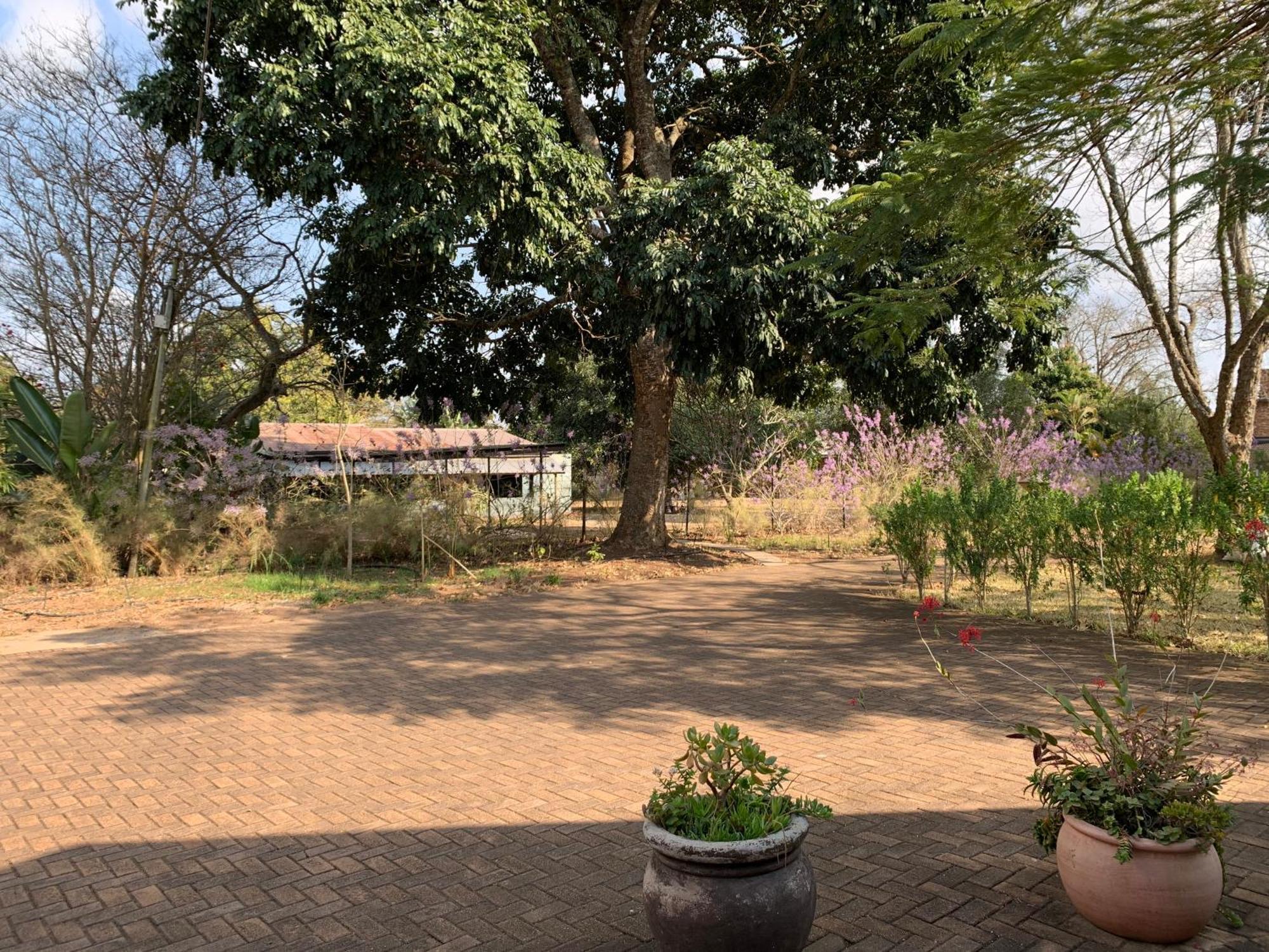 ilanda Guest House White River Extérieur photo